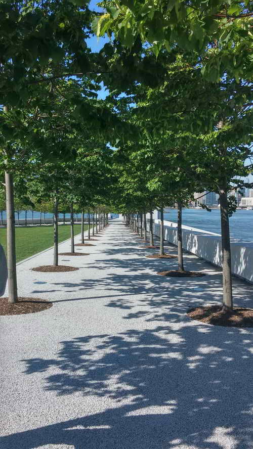 NYC_2014-06-02 09-06-45_CELL_20140602_090645_HDR